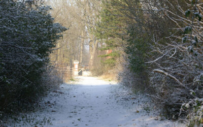 Le sentier des roses